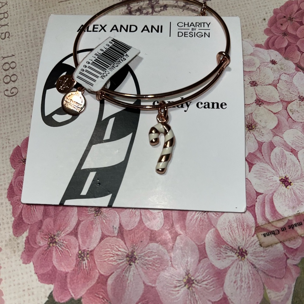 Alex and Ani Gold Candy Cane Bracelet